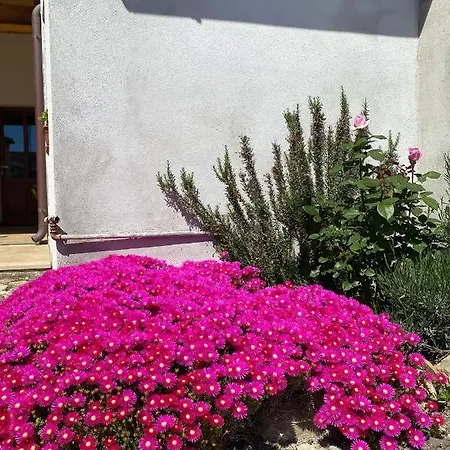 Alojamento de Acomodação e Pequeno-almoço Domenico Paulis